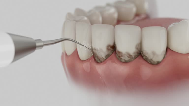 Reliable Dental contractor in Grayslake, IL by Dentist Open Now